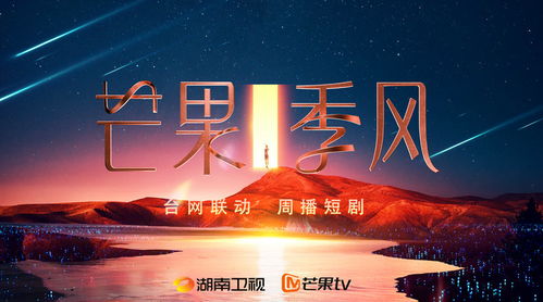 月短剧全集免费观看，最新资讯及在线观看指南--第1张