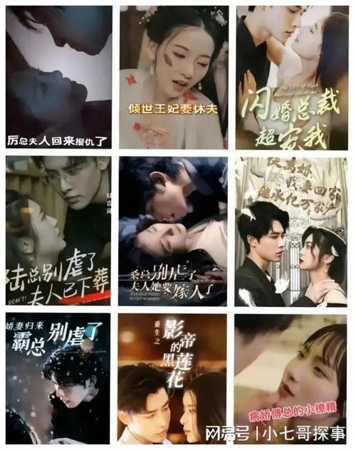 闪婚蔷薇短剧在线免费观看全集资讯--第1张