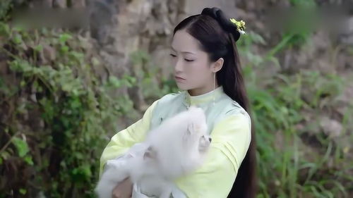 七个姐姐倾国倾城，短剧在线免费观看全集资讯--第1张