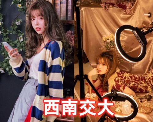 绝世网游，绝世网红短剧在线免费观看全集资讯--第1张