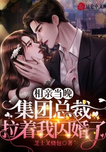 相亲失败后我拉着总裁闪婚了--第1张