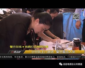 婚不厌诈，全集免费观看--第1张