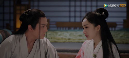 陆总别虐了，夫人快死了，陆总夫人又闹离婚了全集免费观看--第1张