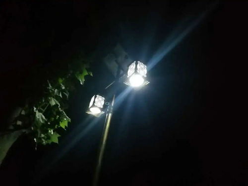 长夜灯火，短剧全集免费在线观看--第1张