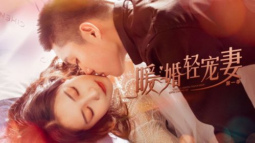 重生暖婚轻宠妻短剧在线免费观看全集资讯--第1张