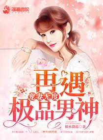 司少宠妻无度，夫人请恕罪--第1张