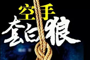 重生八九，空手套白狼短剧在线免费观看全集资讯--第1张