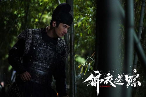 北凉悍刀世子与神秘女子演绎热血捍刀短剧--第1张