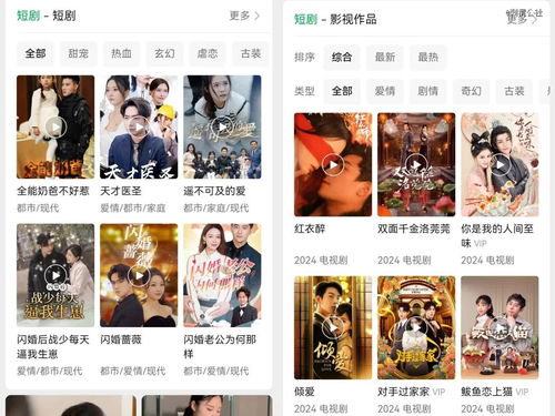 镇龙短剧剧情资讯，镇龙txt--第1张
