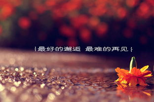 再见，祝你幸福——一部短剧剧情资讯--第1张