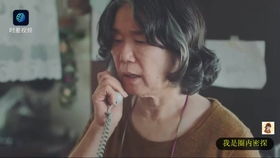 为了救哥哥爸妈生了我短剧剧情资讯在线观看--第1张