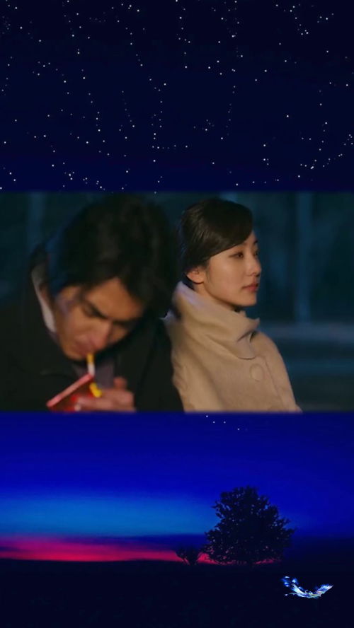 爱你在尘埃里，短剧剧情揭秘--第1张