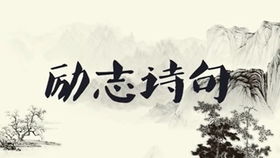 短剧剧情资讯，十年寒窗无人问，一朝成名天下知--第1张