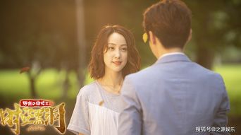 许总夫人又人格分裂了，许总又算计夫人啦的剧情简介--第1张