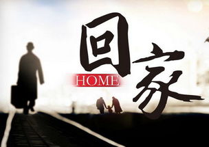 游子归家之旅--第1张