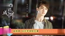 冒牌总裁短剧，总裁的替身前妻剧情资讯在线观看--第1张