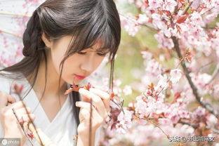 穿成恶毒女配甜炸全家短剧剧情资讯 穿成恶毒女配全文免费阅读--第1张