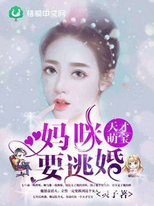 天才萌宝妈咪要复婚--第1张