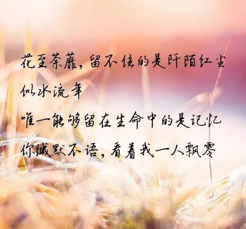 余生漫漫顾怀瑾不辞春色，顾忆深与顾怀瑾的爱恨纠葛--第1张
