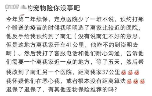 昨夜思念如风，歌词与剧情揭秘--第1张