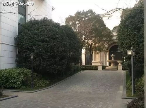 ，不装了！老子千亿富豪，你高不可攀！—— 一部震撼人心的短剧剧情资讯--第1张