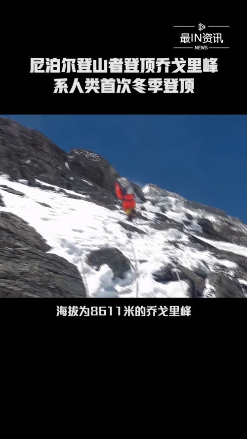 登顶短剧剧情资讯--第1张