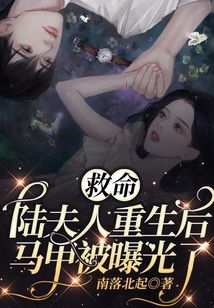 重生后，重生后夫人的马甲掀翻全场的秘密--第1张