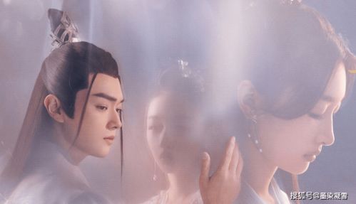 虐恋女主不干了短剧剧情资讯 虐文女主不走感情路线全文阅读免费--第1张