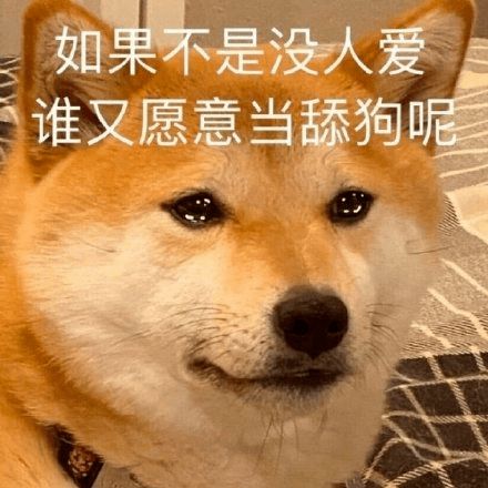 九千万亿舔狗金背后的秘密，再也不谈恋爱的短剧揭秘--第1张