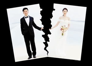 离婚后总裁老婆发现我是首富，揭秘短剧背后的故事--第1张