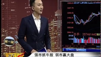 天下财皇张亚萍短剧剧情资讯 天下财皇张亚萍短剧剧情资讯视频--第1张