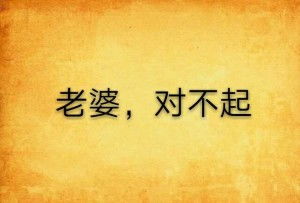 ，老婆对不起--第1张