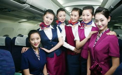 我的空姐老婆短剧剧情资讯 我的空姐老婆短剧剧情资讯视频--第1张