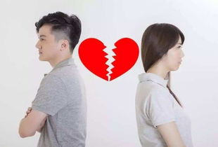 离婚后冷爷追妻路--第1张
