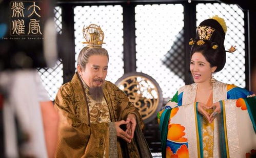 穿越贵妃野翻了，相亲相到腹黑皇帝冷宫贵妃升职记--第1张