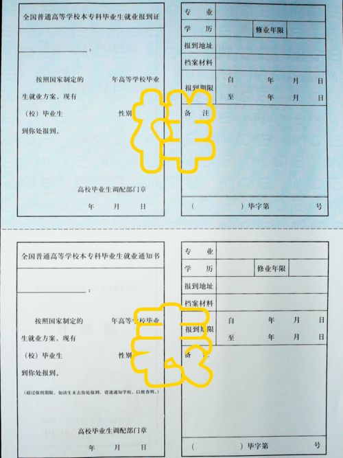 我的妈咪是大佬，短剧剧情揭秘--第1张