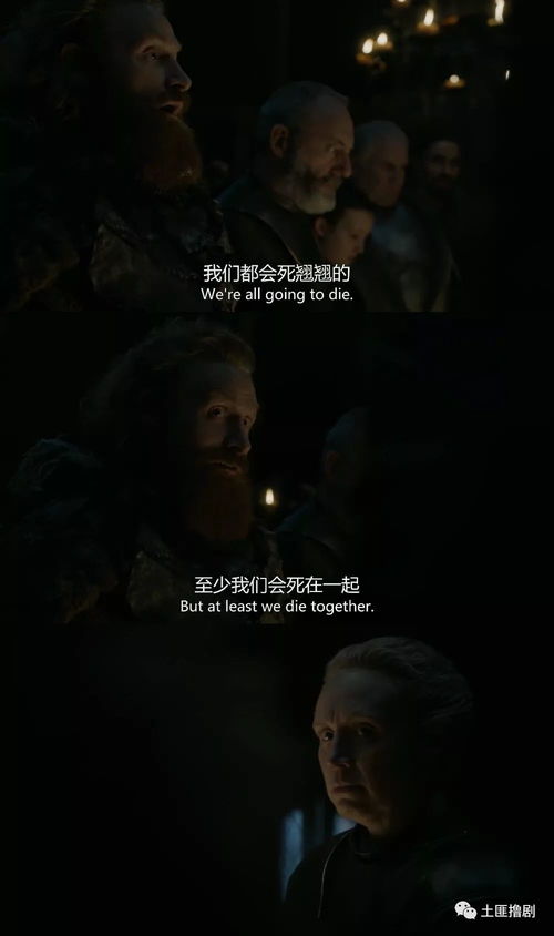 长夜灯火，短剧剧情资讯在线观看--第1张