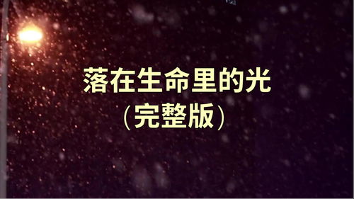 生命之光，光影交织的生命故事--第1张
