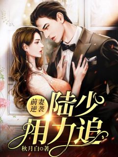 前妻归来，逆袭人生--第1张