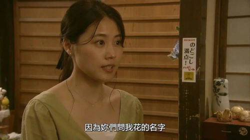 被我弄丢的你短剧剧情资讯--第1张