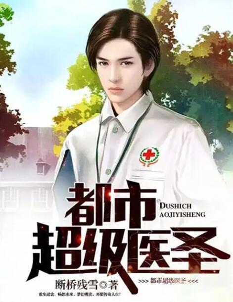 极品医圣在都市，都市传奇医师的非凡人生--第1张