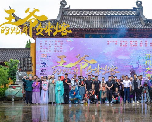 王爷的贴身刺客女刺客的秘密身份揭晓--第1张