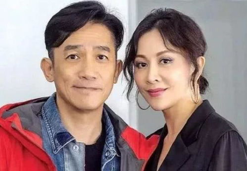 离婚后我被渣男的哥哥宠上天短剧全集剧情 离婚后我被前夫倒追了全文免费阅读--第1张