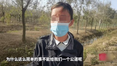 男神爹地快回家，妈咪快跑--第1张