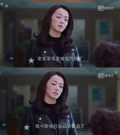 真千金职场反击记--第1张