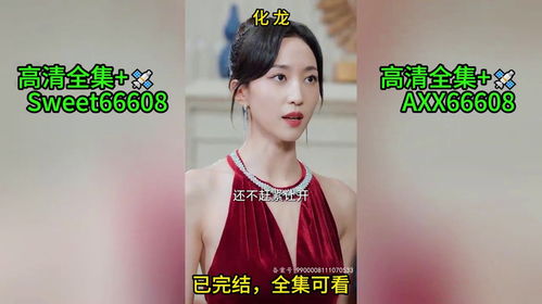 化龙短剧全集剧情--第1张