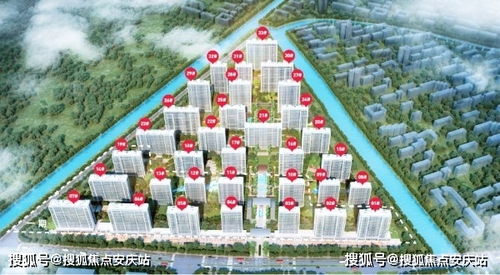 千龙之首短剧，揭秘全集--第1张