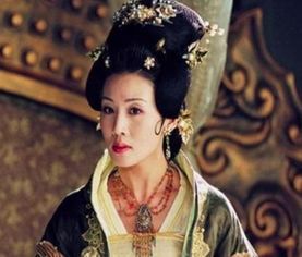 王妃娘娘的现代奇遇记，法术与科技的碰撞--第1张