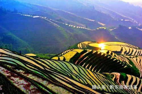 陆总漫漫追妻路--第1张