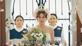 燃宫，一幕幕生死情仇剧情简介--第1张